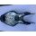 Bimota SB8R Carbon Monocoque 505170010 Scocca Body, Heckteil