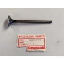 Original Kawasaki Auslassventil Valve, Exhaust KZ550 12005-1002 12005-5001
